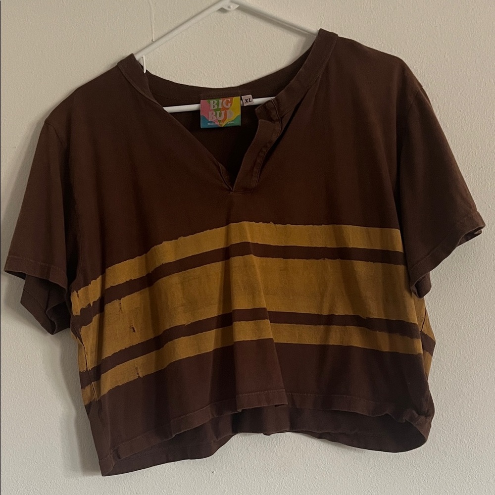 Big Bud Press Brown and Yellow Crop Top